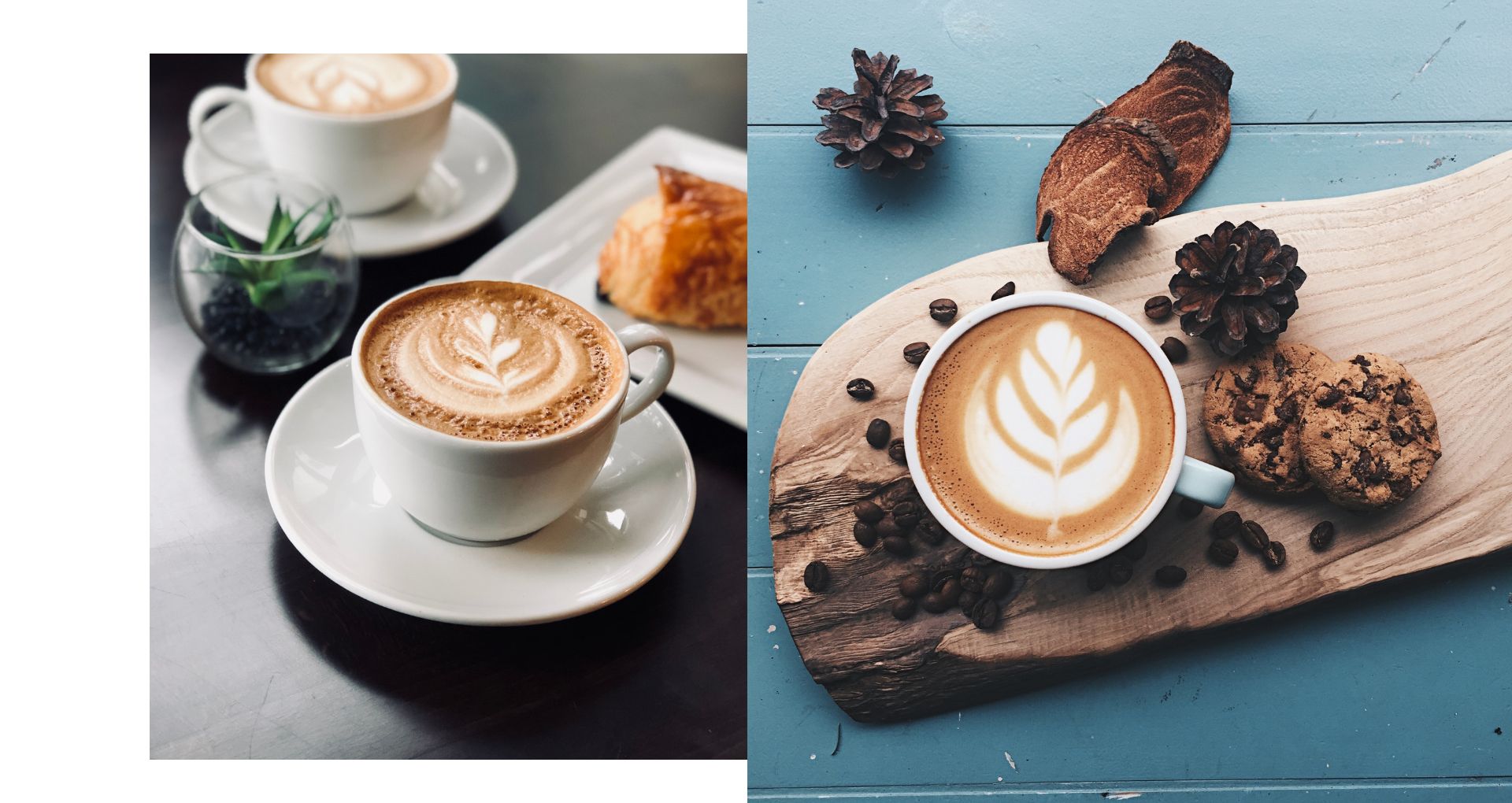 chagaccino mushroom tea coffee trends 2025